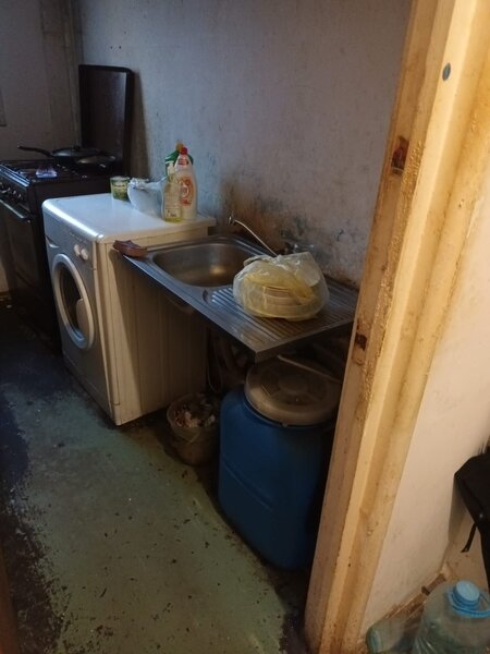 Obor, Colentina, Teiul Doamnei, langa parcul Tei